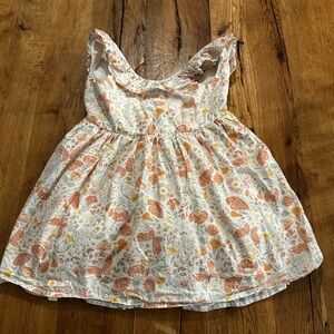 The Prairie by Rachel Ashwell shabby chic butterfly ruffle dress 5t